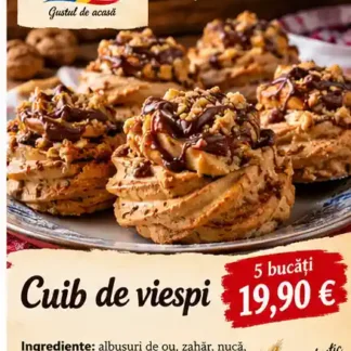 Cuib de viespi